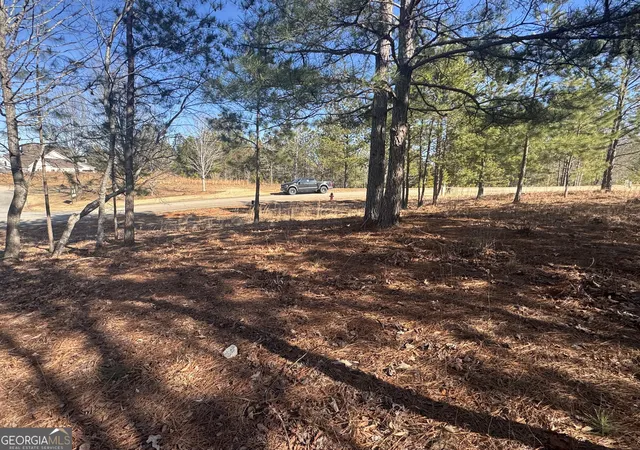 4th image of 1541 Currahee Club Dr, Toccoa, GA 30577 | MLS# 10693490
