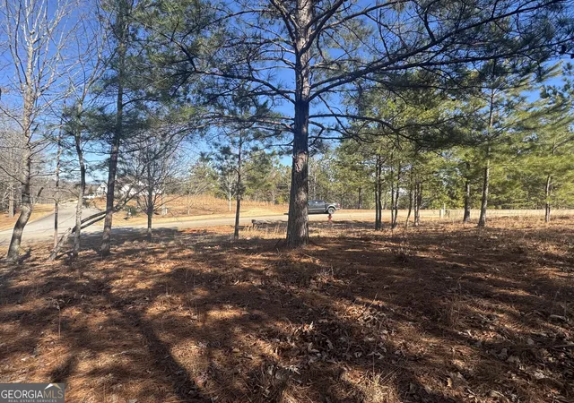 5th image of 1541 Currahee Club Dr, Toccoa, GA 30577 | MLS# 10693490