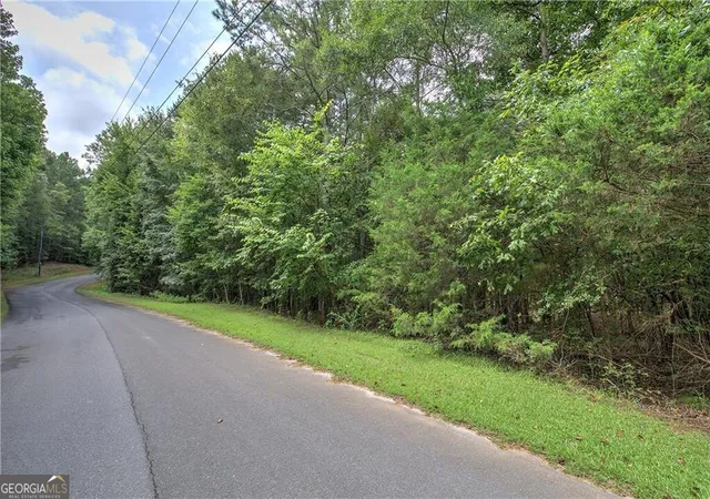 3rd image of 0 Weissenger Rd, Kingston, GA 30145 | MLS# 10822317