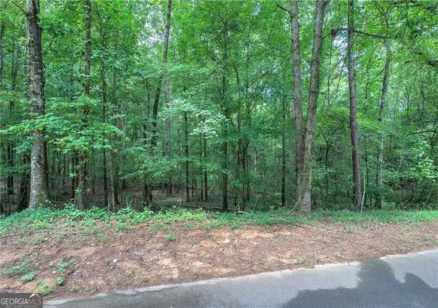 4th image of 0 Weissenger Rd, Kingston, GA 30145 | MLS# 10822317