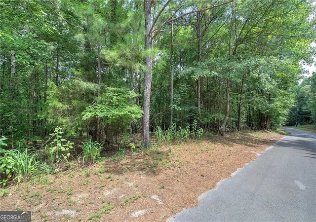 5th image of 0 Weissenger Rd, Kingston, GA 30145 | MLS# 10822317