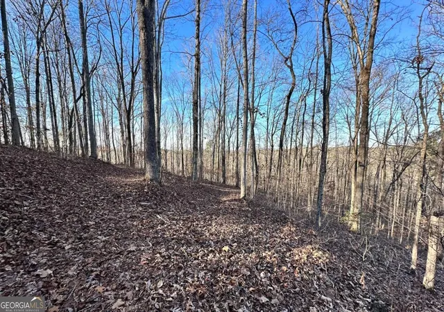 Photo 2 of Land for sale at 8555 Woodland Brooke Trl, Cumming, GA 30028 | MLS# 10730072 | Listing updated on 2026-06-22
