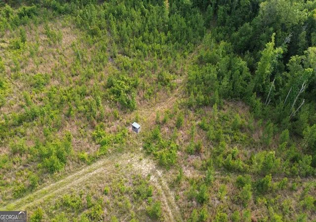 14th image of 0 Scuffletown Rd, Bristol, GA 31518 | MLS# 10786926