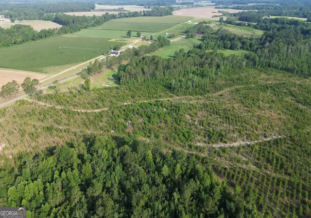 1st image of 0 Scuffletown Rd, Bristol, GA 31518 | MLS# 10786926