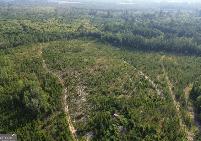 Photo 3 of Land for sale at 0 Scuffletown Rd, Bristol, GA 31518 | MLS# 10786926 | Listing updated on 2026-06-30