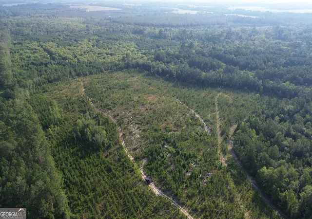 Photo 3 of Land for sale at 0 Scuffletown Rd, Bristol, GA 31518 | MLS# 10786926 | Listing updated on 2026-06-30
