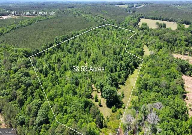 1st image of 000 Leslie Mill Rd, Greensboro, GA 30642 | MLS# 10765844