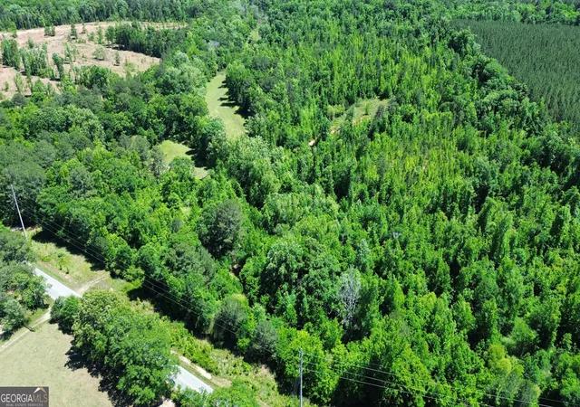 22nd image of 000 Leslie Mill Rd, Greensboro, GA 30642 | MLS# 10765844