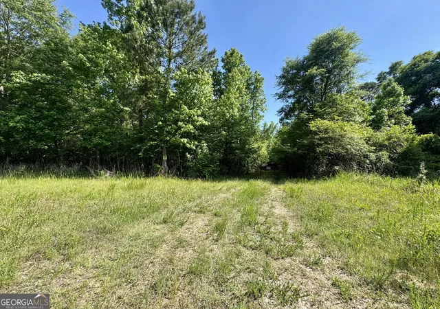 3rd image of 000 Leslie Mill Rd, Greensboro, GA 30642 | MLS# 10765844
