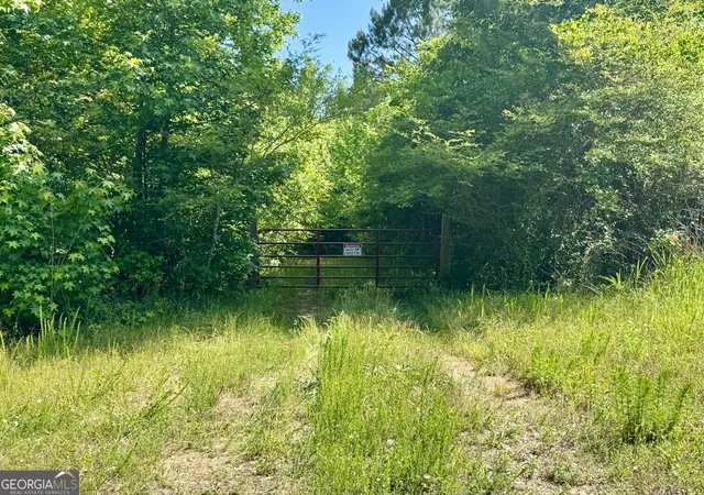 4th image of 000 Leslie Mill Rd, Greensboro, GA 30642 | MLS# 10765844