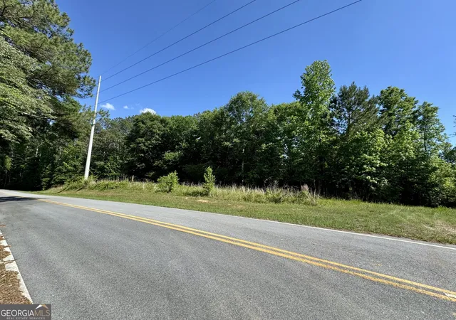 5th image of 000 Leslie Mill Rd, Greensboro, GA 30642 | MLS# 10765844