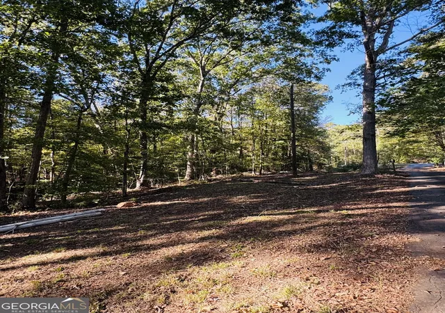 4th image of 1516 Stark Rd, Jackson, GA 30233 | MLS# 10633466