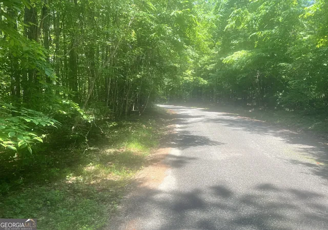 2nd image of 1589 Deer Field Farms Rd, Monticello, GA 31064 | MLS# 10798081