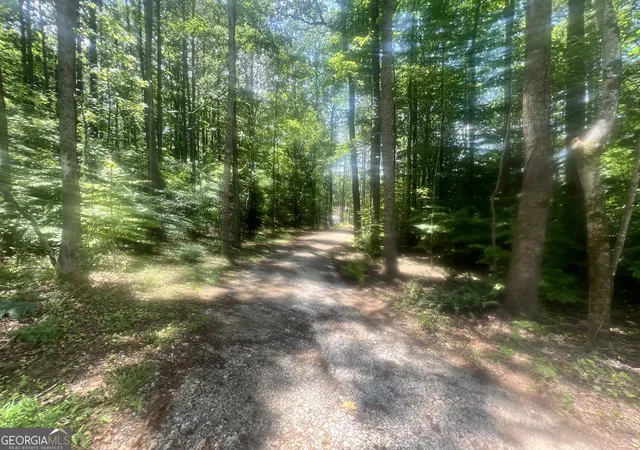 55th image of 1589 Deer Field Farms Rd, Monticello, GA 31064 | MLS# 10798081