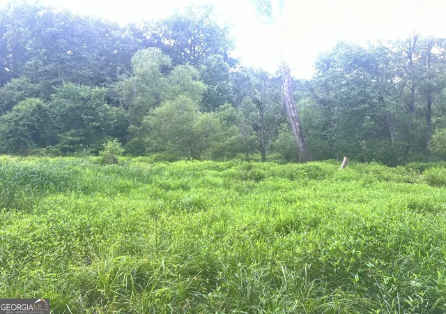 5th image of 1589 Deer Field Farms Rd, Monticello, GA 31064 | MLS# 10798081