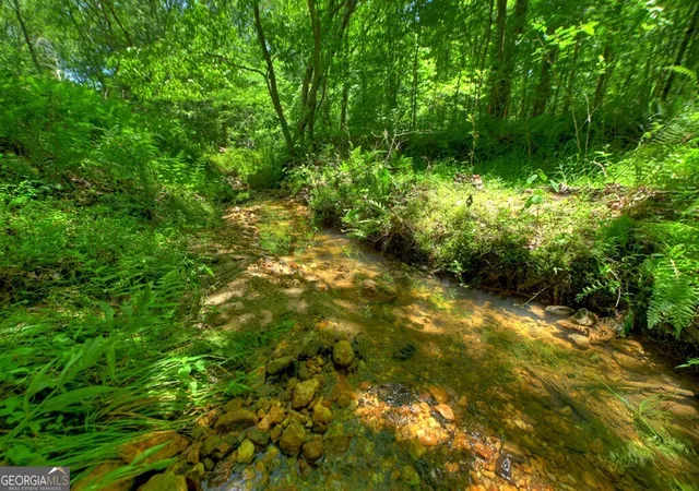 2nd image of 6385 Hwy 2, Epworth, GA 30541 | MLS# 10792312