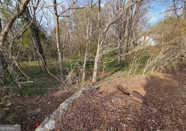 1st image of 0 Fred Kelly Rd, Rome, GA 30161 | MLS# 10813440