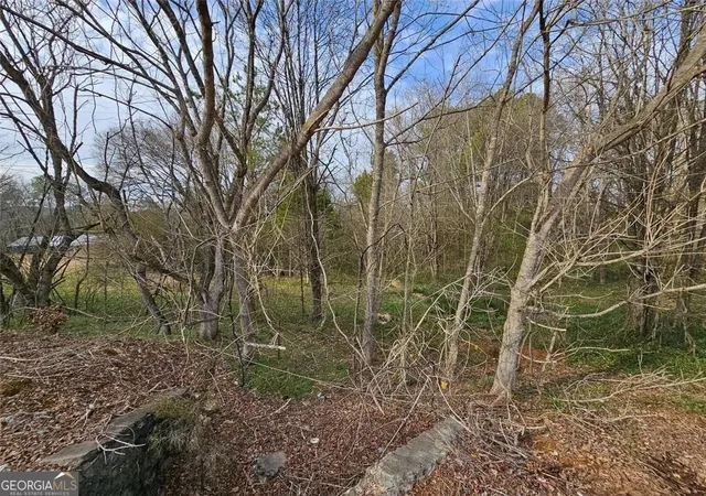 6th image of 0 Fred Kelly Rd, Rome, GA 30161 | MLS# 10813440