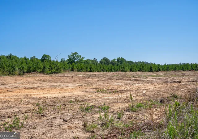 5th image of 4918 Lower Mill Rd, Crawfordville, GA 30631 | MLS# 10782126