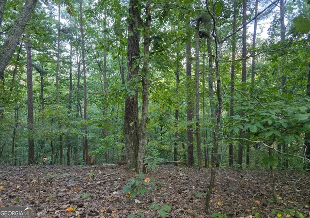 Homes for sale in Cartersville, GA | 0 Old Goodie Mtn Rd Se, Cartersville, GA 30120 | MLS# 10608655