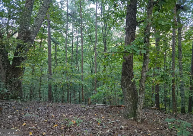 Homes for sale in Cartersville, GA | 0 Old Goodie Mtn Rd Se, Cartersville, GA 30120 | MLS# 10608655
