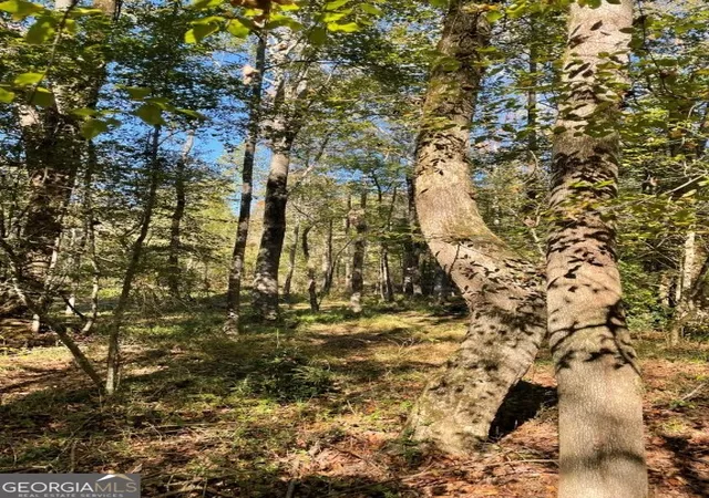 Photo 3 of Land for sale at 0 Highway 36 E, Jackson, GA 30233 | MLS# 10795053 | Listing updated on 2026-09-06