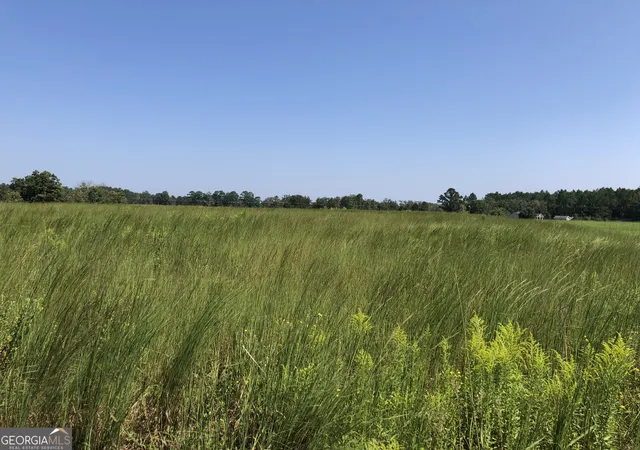 1st image of 0 Ga Hwy 126, Cochran, GA 31014 | MLS# 10779990