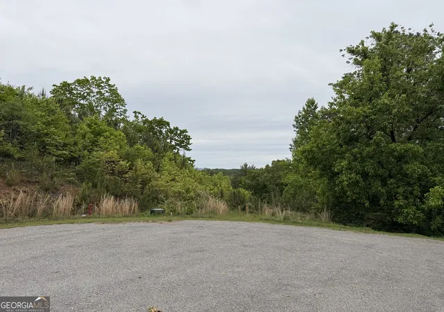 Photo 1 of Land for sale at 0 High River Xing, Ellijay, GA 30540 | MLS# 10753573 | Listing updated on 2026-05-13