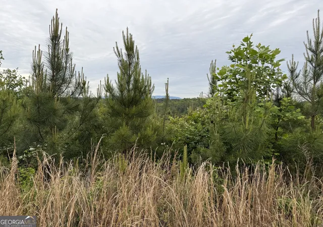 Photo 3 of Land for sale at 0 High River Xing, Ellijay, GA 30540 | MLS# 10753573 | Listing updated on 2026-05-13