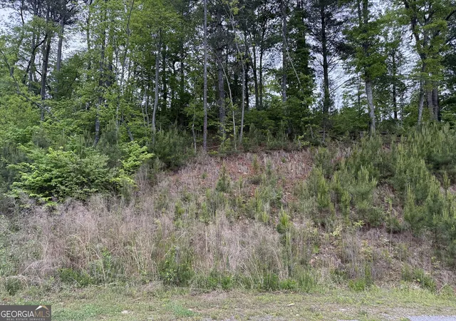 Photo 3 of Land for sale at 0 High River Xing, Ellijay, GA 30540 | MLS# 10753573 | Listing updated on 2026-05-13