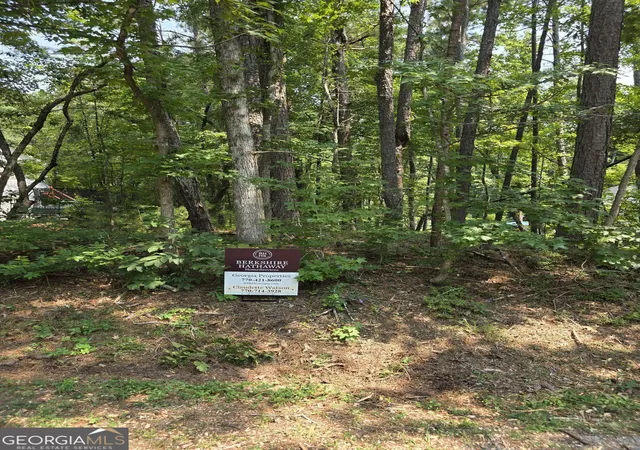 Photo 1 of Land for sale at 4195 Argonne Pl, Villa Rica, GA 30180 | MLS# 10811406 | Listing updated on 2026-08-06