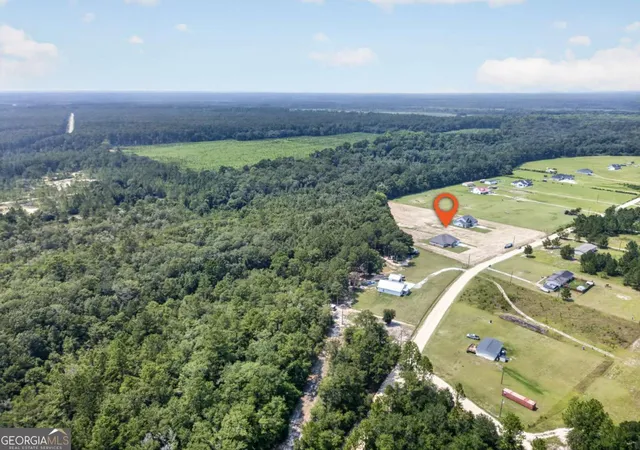 47th image of 481 S T Morris Rd Ne, Ludowici, GA 31316 | MLS# 10818398