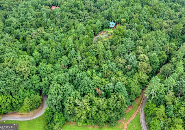 Photo 3 of Land for sale at Lot 5b Toccoa River Forest, Mineral Bluff, GA 30559 | MLS# 10818130 | Listing updated on 2026-08-17