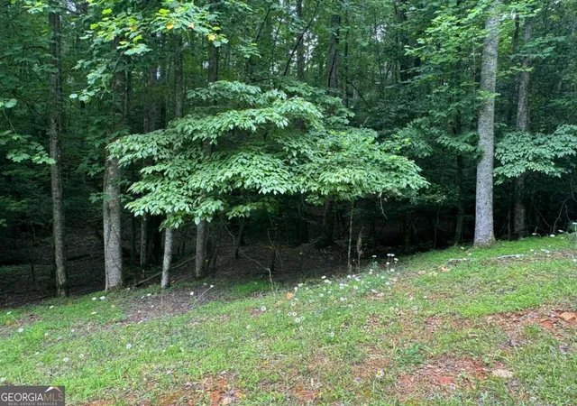Photo 1 of Land for sale at Lot 1721 Newport Dr, Ellijay, GA 30540 | MLS# 10418195 | Listing updated on 2026-05-23