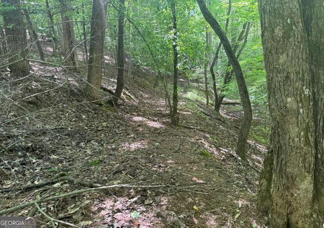 Photo 2 of Land for sale at Lot 1721 Newport Dr, Ellijay, GA 30540 | MLS# 10418195 | Listing updated on 2026-05-23