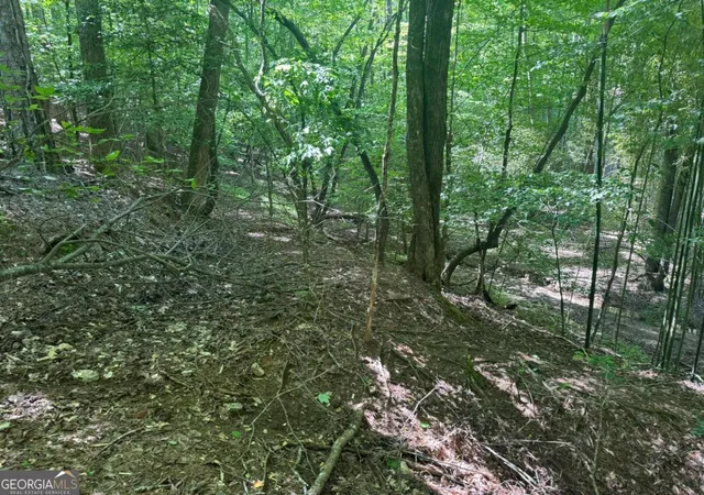 Photo 3 of Land for sale at Lot 1721 Newport Dr, Ellijay, GA 30540 | MLS# 10418195 | Listing updated on 2026-05-23