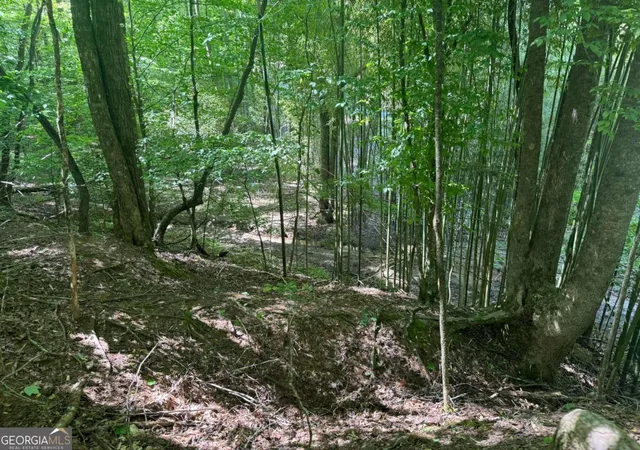 Photo 4 of Land for sale at Lot 1721 Newport Dr, Ellijay, GA 30540 | MLS# 10418195 | Listing updated on 2026-05-23