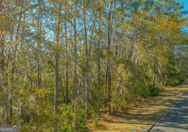 14th image of 119 Rice Mill, St. Simons, GA 31522 | MLS# 10770417