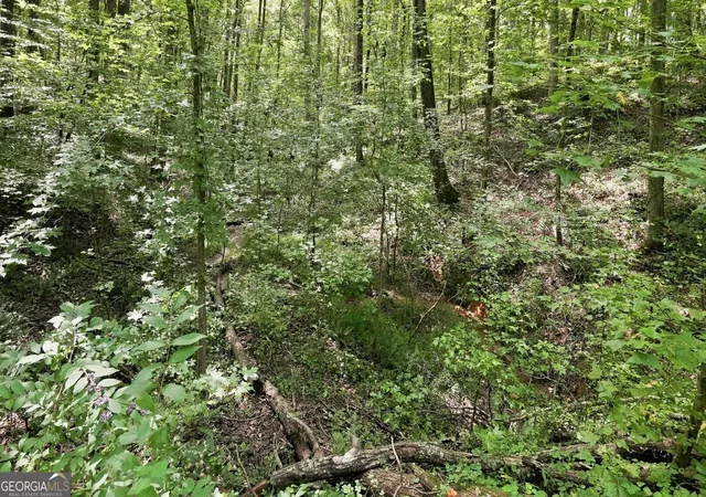 Photo 4 of Land for sale at 0 Shadow Wood Dr #LOT 2, Monroe, GA 30656 | MLS# 10833948 | Listing updated on 2026-09-10