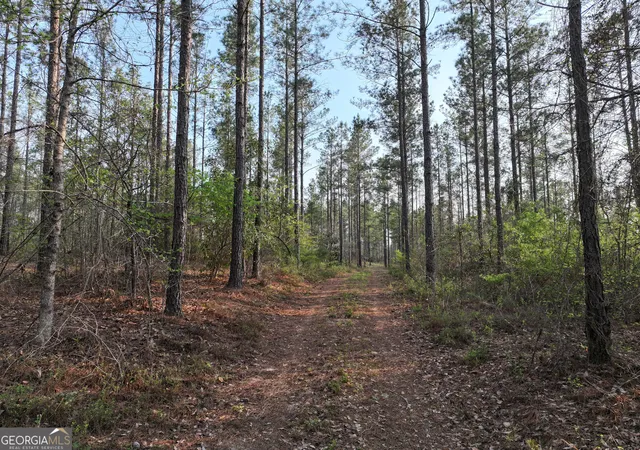 Photo 1 of Land for sale at 195 County Line Road, Lumpkin, GA 31815 | MLS# 10828160 | Listing updated on 2026-09-01