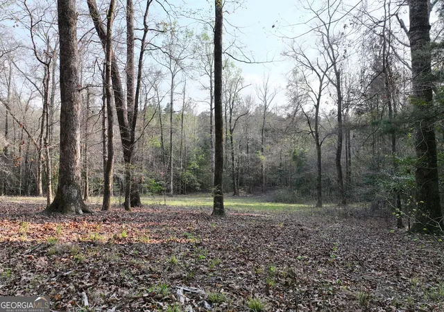 Photo 2 of Land for sale at 195 County Line Road, Lumpkin, GA 31815 | MLS# 10828160 | Listing updated on 2026-09-01
