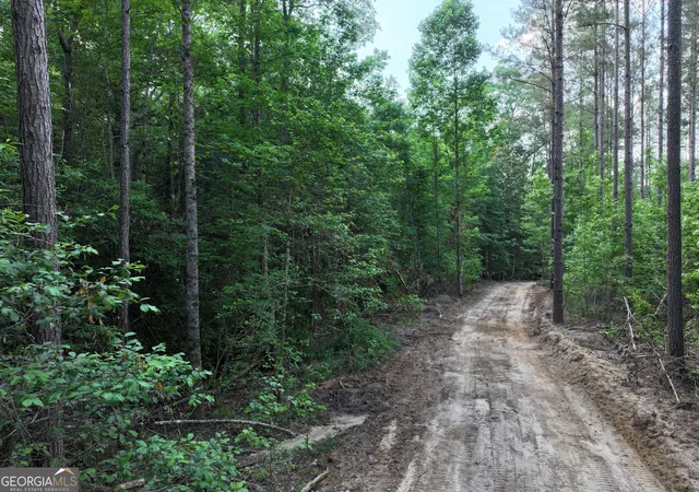 Photo 3 of Land for sale at 195 County Line Road, Lumpkin, GA 31815 | MLS# 10828160 | Listing updated on 2026-09-01