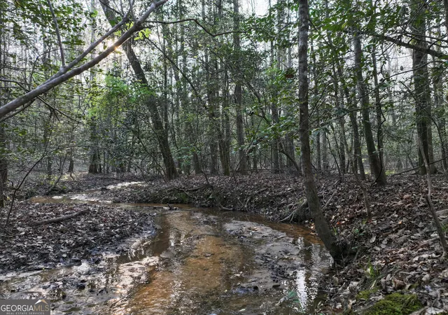 Photo 4 of Land for sale at 195 County Line Road, Lumpkin, GA 31815 | MLS# 10828160 | Listing updated on 2026-09-01