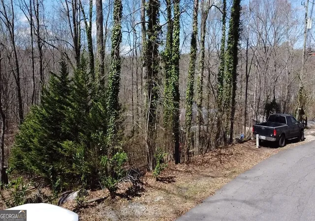 5th image of 0 Thunder Trl, Gainesville, GA 30506 | MLS# 10808769