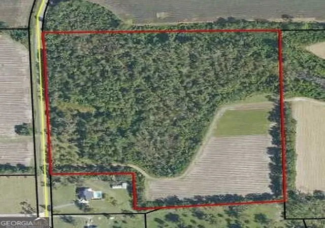 Photo 1 of Land for sale at 174 Baskins Rd, Lakeland, GA 31635 | MLS# 10672911 | Listing updated on 2026-08-10