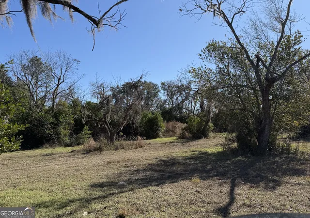 5th image of 174 Baskins Rd, Lakeland, GA 31635 | MLS# 10672911