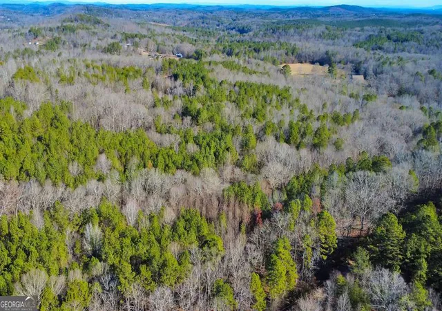 Photo 4 of Land for sale at 277 Bethel Church Rd Se, Silver Creek, GA 30173 | MLS# 10722722 | Listing updated on 2026-10-06