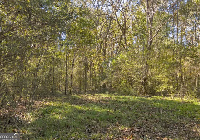 Homes for sale in Canon, GA | 0 Rice Creek Rd, Canon, GA 30520 | MLS# 10635669