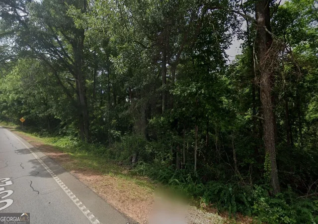 3rd image of 0 Hwy 42 S, Locust Grove, GA 30248 | MLS# 10520658