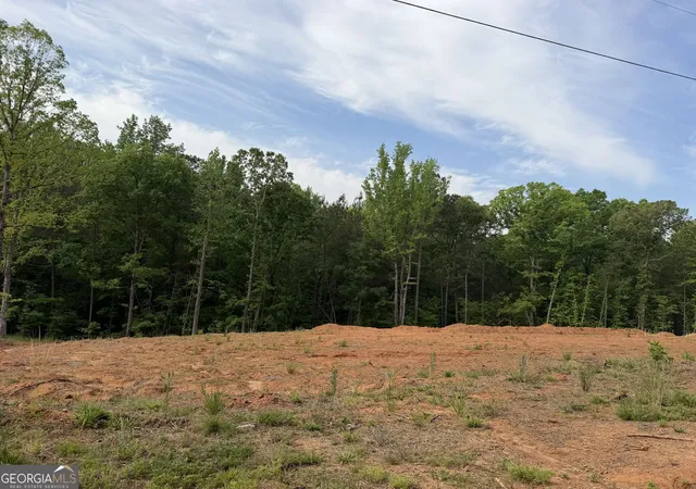 Photo 3 of Land for sale at 1492 English Rd, Forsyth, GA 31029 | MLS# 10739909 | Listing updated on 2026-08-23